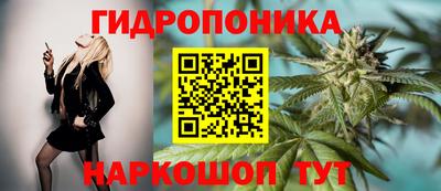 мдпв Пенза