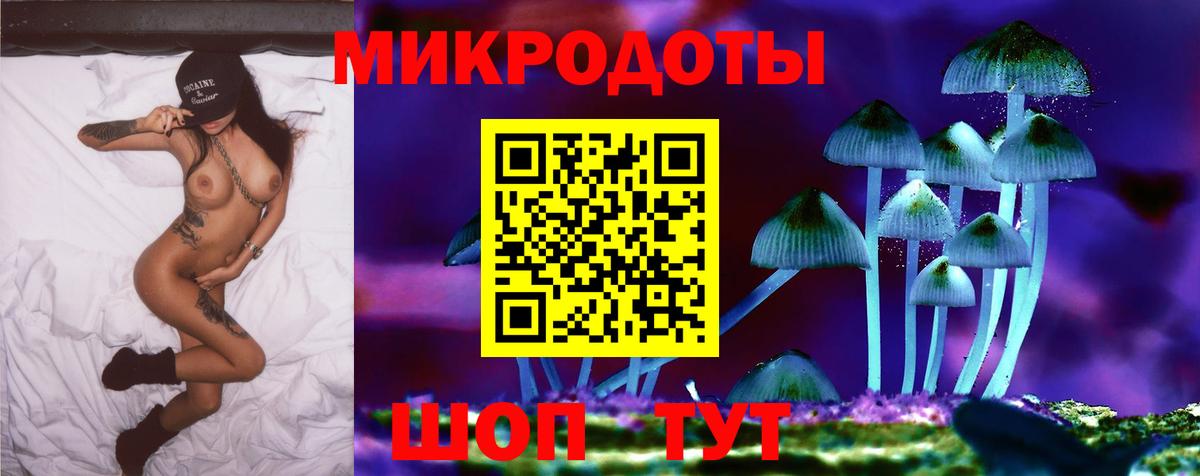 Псилоцибиновые грибы прущие грибы Калач-на-Дону