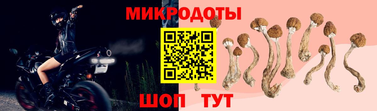 Калач-на-Дону  Галлюциногенные грибы Psilocybe  Вход с VPN  Псилоцибиновые грибы MAGIC MUSHROOMS 